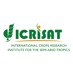 International Crop Research Institute for Semi Arid Tropics, Hyderabad